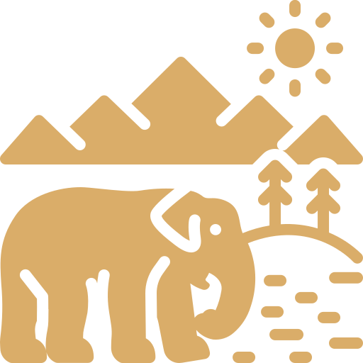 Wildlife
