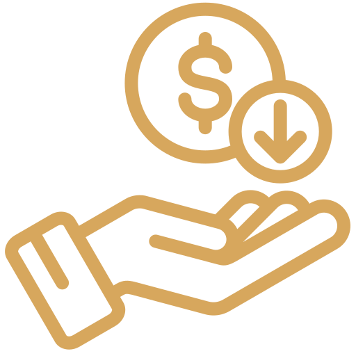 Budget Icon